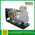 Fujian Imán Permanente Cummins Motor Diesel Generador Tipo Abierto